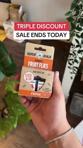 Super ninja fruit fly traps #tiktokshopcreatorpicks 