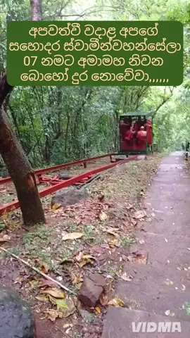 අමාමහ නිවනින් සැනසේවා ස්වාමීන් වහන්සේලා 💐💐💐#buddist #nauyaanamonastery #monastery