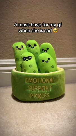 #pickles #emotionalsupport #stuffedanimal 