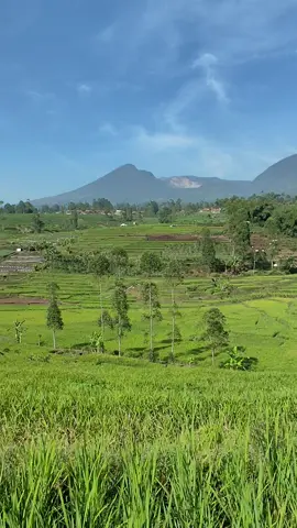 #garut #garutjawabarat #garutselatan #fyp #viral 