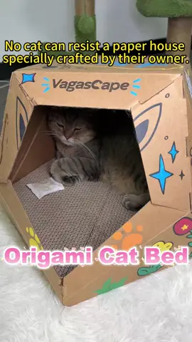 Watch me snap this origami cat bed together in 60 seconds, then customize it with doodles. Perfect for crafty pet parents!#vagascape #DIY cat house
