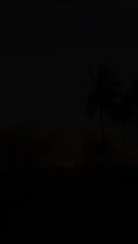 #CapCut 