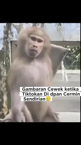 Betul nggak sih cewek kek gitu coba tag bestinya we #tiktokviral #lucu_ngakak #posting #fyppppppppppppppppppppppp 