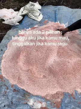#sawitontiktok #foryoupage 