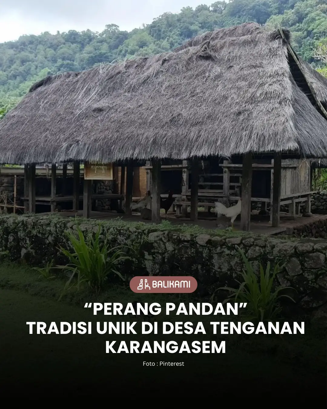 Perang Pandan adalah tradisi khas Desa Tenganan, Karangasem, Bali. Dalam ritual ini, para pemuda saling bertarung menggunakan pandan berduri sebagai simbol keberanian dan pengabdian kepada Dewa Indra, dewa perang dalam kepercayaan Hindu. Tradisi ini juga menjadi wujud syukur serta menjaga warisan budaya Bali Aga yang masih lestari hingga kini. 🌿✨ #balikami #balikamiofficial #balikamigroup #balikamicom 