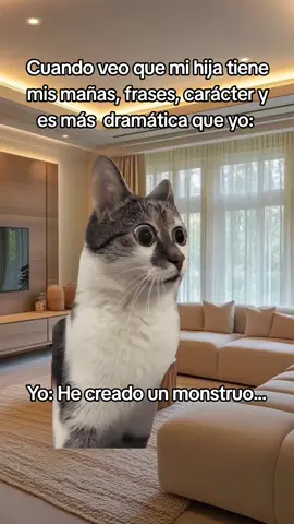 #humor 