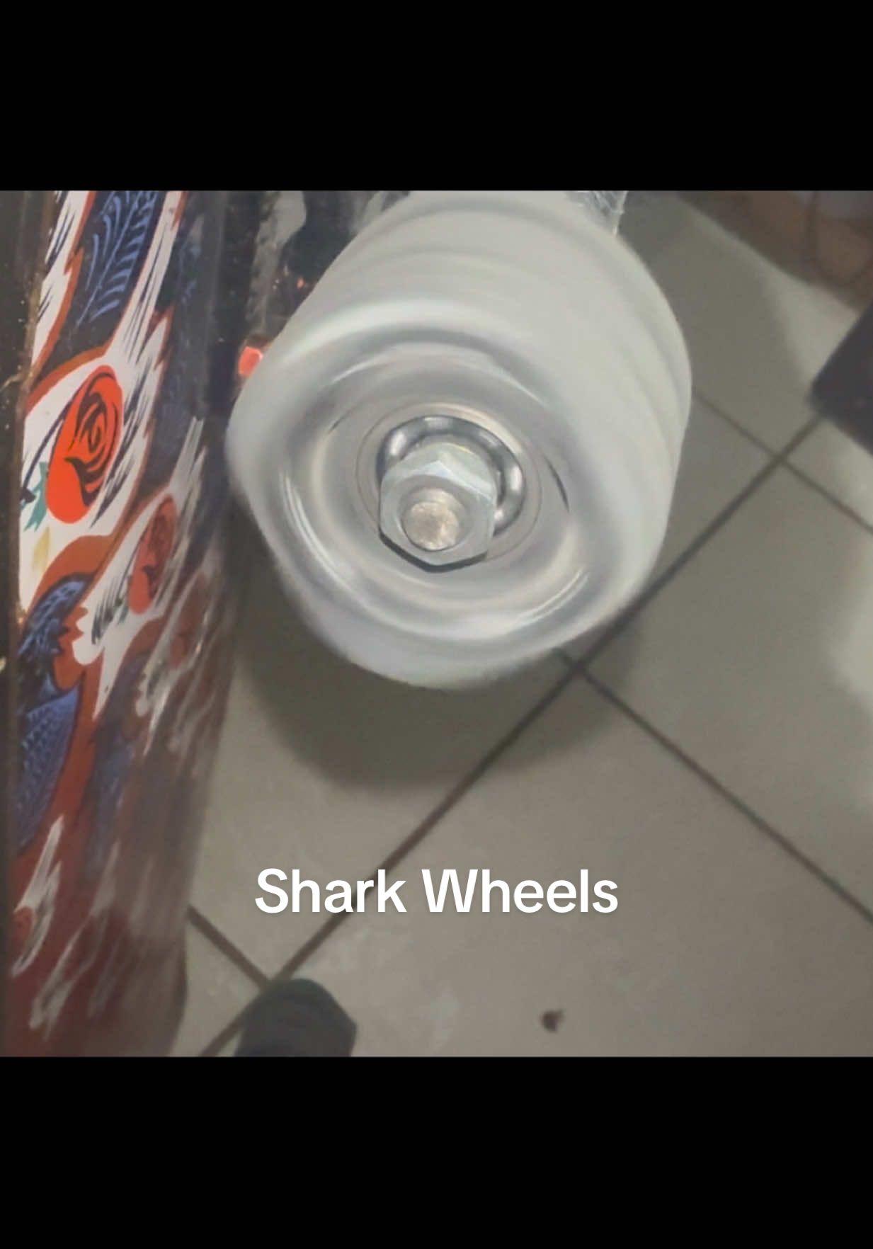 You’ll never fall cuz of a pebble again 😭^^^  #sharkwheels#sk8#skate#skating#wheels