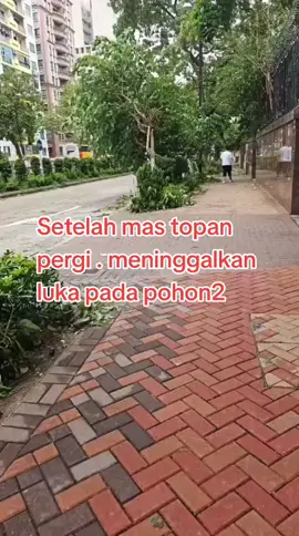 Apel #caiyo #hk #bersihkan #angin 