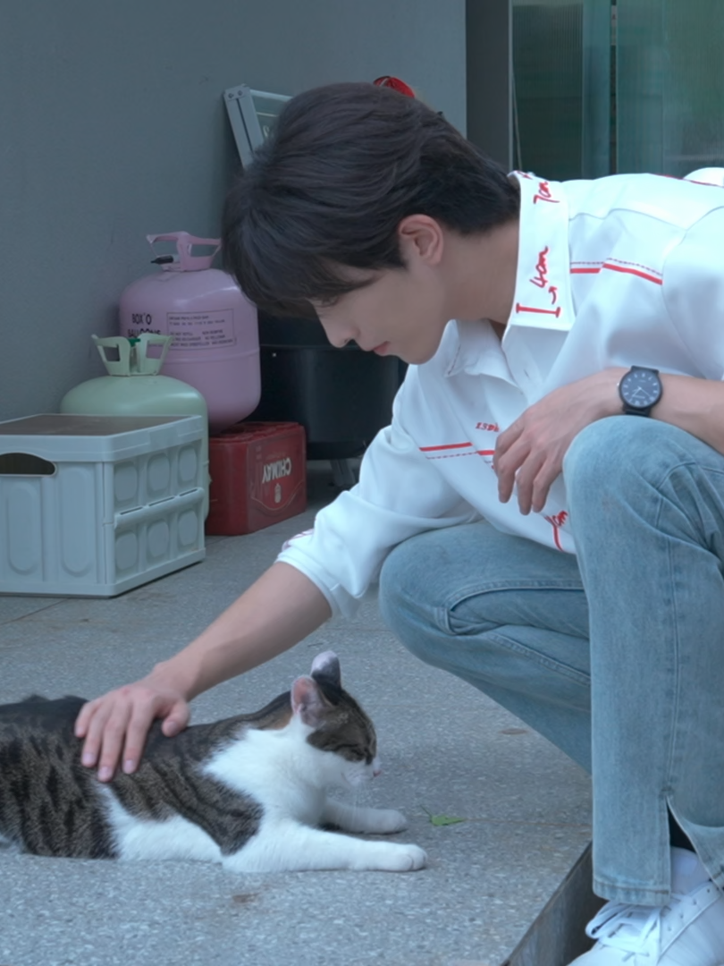 【长花絮BTS】垂涎ABO Desire|來自盛先生和小貓的互動 #ABODesire #DesireTheSeries The interaction between Mr. Sheng and the kitten. 每周六晚8點，全球同步更新上線🌏 Every Saturday at 8 PM(Beijing Time) - New Episode Updates Worldwide🌏 #垂涎 #ABODesire #abodesire #desiretheseries #desire #Desire #nongjian #omegaverse #bl #abo #ABO #boyslove #drama #dramaseries