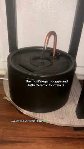 #frenchiesoftiktok #frenchie #ceramicfountain #waterbowl #waterfountain 🐾🐾🐾🐾