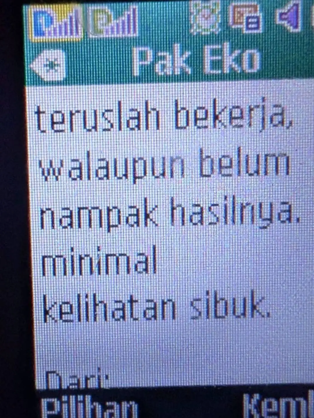 #fyp #fypp #sawitontiktok 
