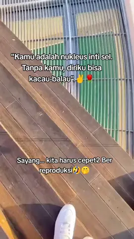 #berreproduksi ✌#dubai🇦🇪 #pejuangdevisa🇮🇩🇦🇪 