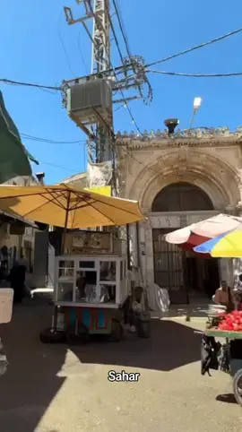 لا تزور البلد القديمة في نابلس .. لانه اكيد ستقع في هواها ولت تستطيع ان تخرجها من عقلك وقلبك الى الأبد .. صباحكم نابلسي #نابلس #الياسمينة #صباح_الخير #explore #fyp 