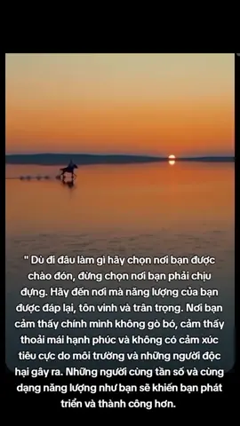 Hãy đến nơi mà bạn được tôn vinh và trân trọng.