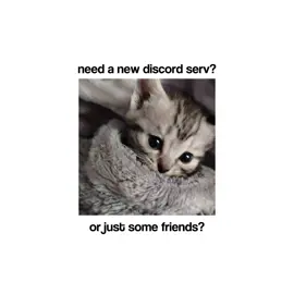 join us #discord #friends #discordserver #roblox #fyp 