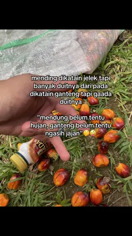 Candaa wee #katakata #kulisawit #kerjakeras #anakpetanisawit #pemanensawit 