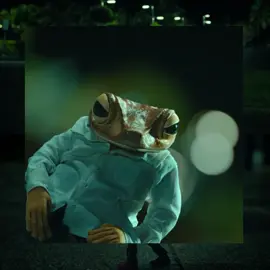 ¿? - Y ahora? @Bad Bunny  • • • #uvst #badbunny #badbunnypr #badbunnyedits #badbunny🐰 #badbunnyconcert #badbunnypr_oficial #yhlqmdlg #x100pre #eutdm #oasis #estadosparawhatsapp #status #statusvideo #fyp #parati #sunset #verano #2024 #dtmf #album #moscowmule #dtmf #unveranosinti #dakiti #fypmusic #pr #puertorico🇵🇷 #monaco #babynueva #unpreview #whereshegoes #nadiesabeloquevaapasarmañana #nslqvpm #edits