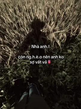 Nhà ah còn ngheo🫀#quocvy_07 