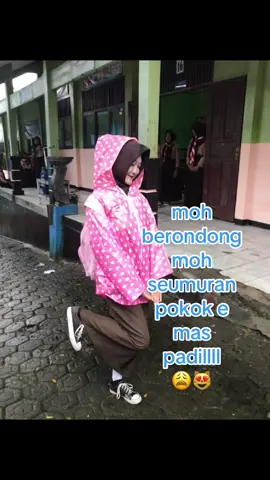 #promoseruweekend #cewepadil#promomakangajian #epyepe y#@padilllll 