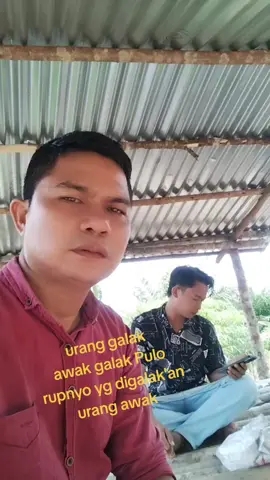 survei kebun sawit  #petanisawitriau