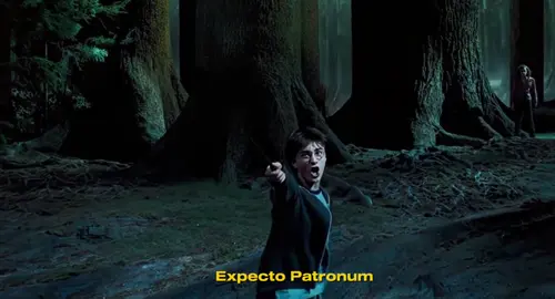 #Harry #Gryffindor #Hogwarts #Ron #fypppppppppppppppppppppppppppppp 