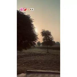 🌸❤️‍🩹🫶🏻👀 #fulltrending🔥 #goviral #fyp #unfreezemyaccount #underreviewproblem😣 