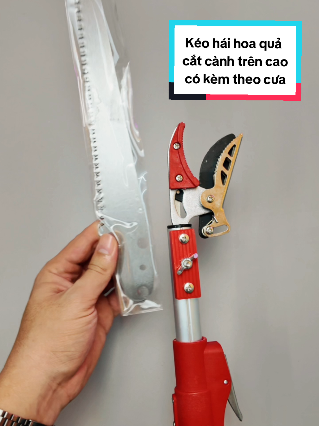 Kéo cắt cành cây trên cao có kèm lưỡi cưa, có 2 loại trong giỏ hàng: 1 loại dài tối đa 3m, thân nhôm, có kèm lưỡi cưa, còn 1 loạ thân inox, ko kèm lưỡi cưa,...các bác vàm xem nha, cảm ơn các bác #keocatcanh #keocatcanhcay #keocattiacanhcay #lamvuon  #keocatdanangsk5 