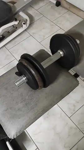 c'est parti pour une séance haut du corps 💪🔥  #gym #GymTok #gymfits #gymgirls 