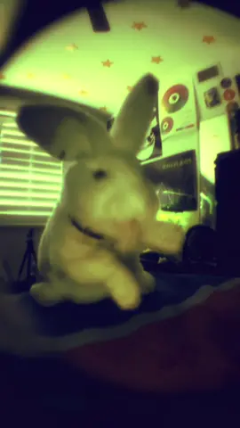 teenagers - my chemical romance  ★ #mcr #gerardway #mychemicalromance #emo #bunny 