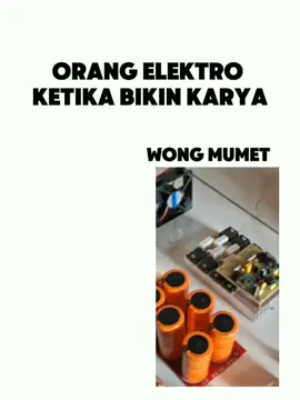 🗿#horegjawatimur #elektonik #horeg #poweramplifier #fyp