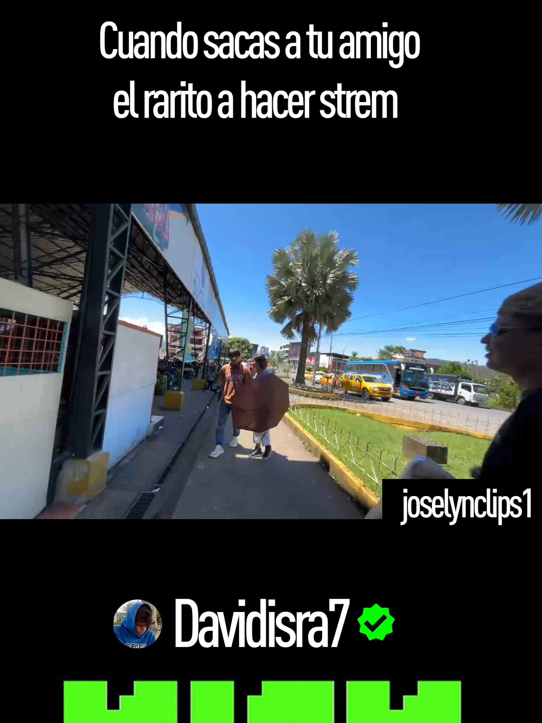 Venta de cuys en sucúa #amigos #MoronaSantiago #Macas #ecuador #clips #KICK #fyyy #contenidotiktok #nuevo