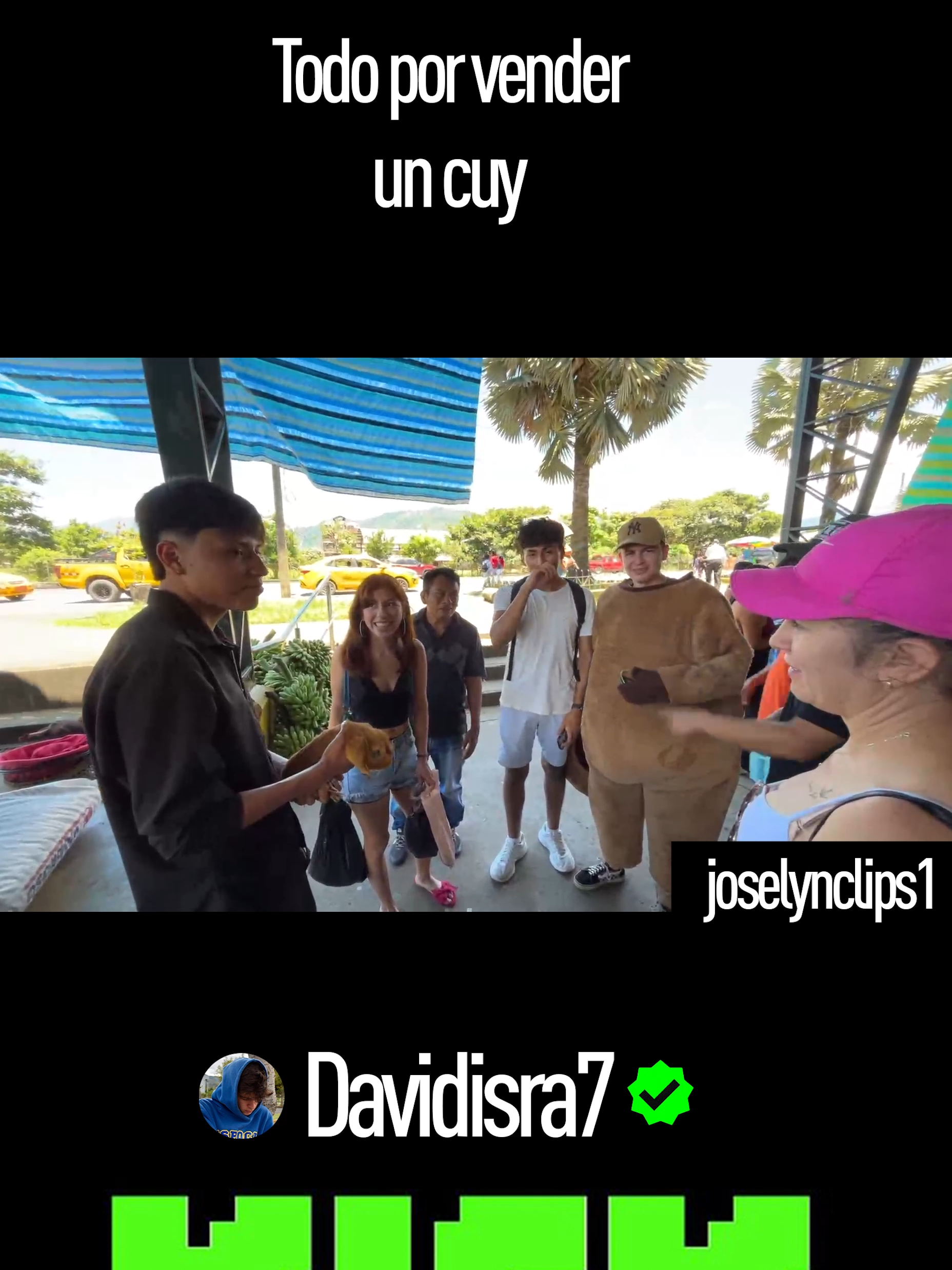 Venta de cuys en sucúa #amigos #MoronaSantiago #Macas #ecuador #clips #KICK #fyyy #contenidotiktok #nuevo