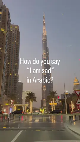 Free lessons #dubai_dxb_uae #dubai🇦🇪 #dubai #broker 