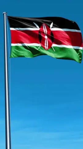 Somalida kenya waa somalida ugu aqli yar inta magac somali shegata. Waa dad aan damiir leheen. Iyago lanecebyahay hadana udaba dhaqa ajanibta iyago isla markana uarka qofka somaliga cadow. #somalia #somalitiktok #kenya #somaliland #usa 
