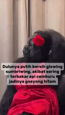 jadi gosong🤣🤣🤣🤣🤣🤣😂