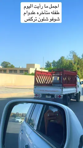 والله هاي البنيه كسرت خاطري كتلها عمو اصعدي خلي اوصلج للمدرسه كالت اهلي موصيني ما اصعد وي غريبين كتلها براحتج عمو 