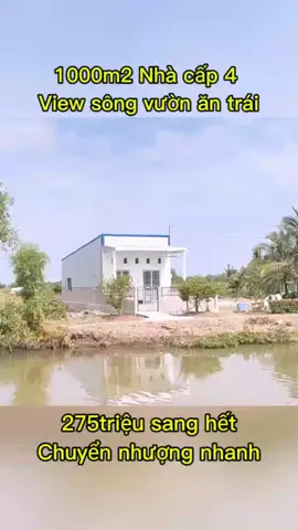 Nhà cấp 4 mặt tiền sông có vườn cây ăn trái😊☺️☺️LIÊN HỆ EM NHA🍀🍀🍀#nhavuon  #xuhuong #thinhhanh #hottiktok_xuhuong #trending 