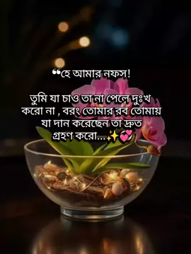যা পাওনি তার জন্য নয় বরং আল্লাহ যা দিয়েছেন তার জন্যই কৃতজ্ঞ হও। . . #islamic_media #viral #fyppppppppppppppppppppppp #trendingsong 