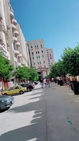 #معهد_السلاب 