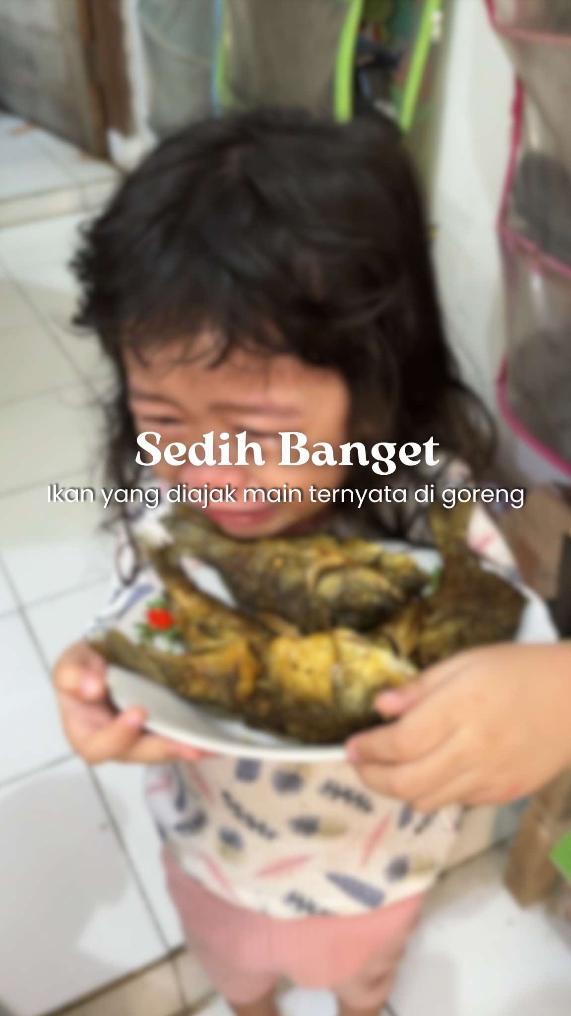Bangun-bangun cari ikan pemberian yang diajak main waktu malem, taunya udah digoreng buat dijadiin lauk sarapan sama neneknya 😭  Maafin  ya qila, emang dari subuh ikannya udah pada meninggoy.  Smg husnul khotimah ikan, jadi makanan bergizi & bermanfaat buat tubuh qila & yang makan ya 🥹🤲🏻