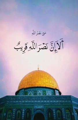 #ونحن_الأباة_وأنتم_غزاة  #غزة #نشيد #أسامة_مخيمر  @أَبَاَ اَلْقَاَسِمْ @الْمُنشِد أَبَاْ الْحَاتِمْ 🎙 