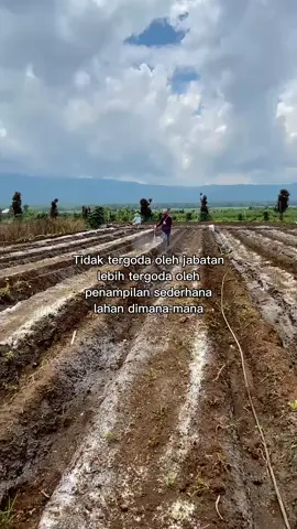 #petanimuda #petaniindonesia #wongtani #fyp #masukberanda