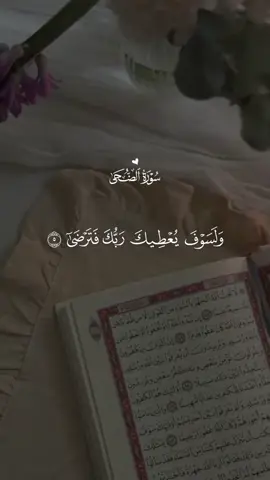 اللهم صل وسلم على نبينا محمد 🥹🤲 ‎أكثروا من الصلاة على النبي لعلها تكون حسنات جاارية 🤲🤲 ‎ضغطي على ريبوست 🥹 ‎#أكتب_شيئا_تؤجر_عليه🌹  #ghazalbenrabia #جيش_غزل #🍓يوميات_غزل🍓⁩⁩⁩⁩⁩⁩⁩⁩⁩⁩⁩⁩⁩⁩⁩⁩⁩⁩⁩