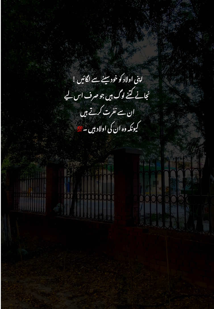 🥺💯#grow #fyp #poetry #viralvideos #aestheticvideos 