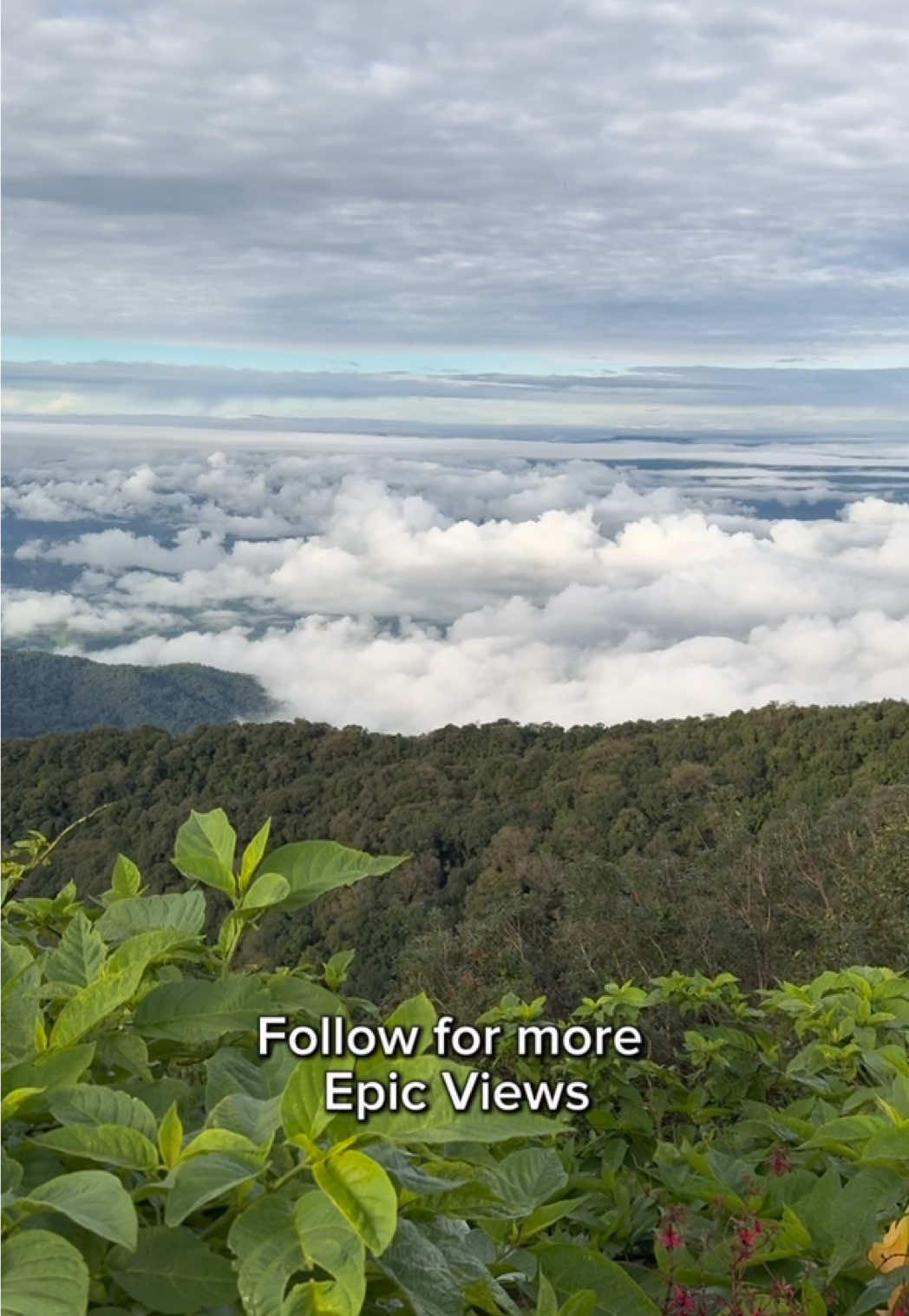 If you’ve followed any of my travel adventures, you know I’m a sucker for a view. This is at the top of Doi Inthanon in Chiang Mai, among the gardens at the Twin Pagodas. Be sure to Follow for more epic views and travel madness. #views #nature #travel #landscape #thailand 