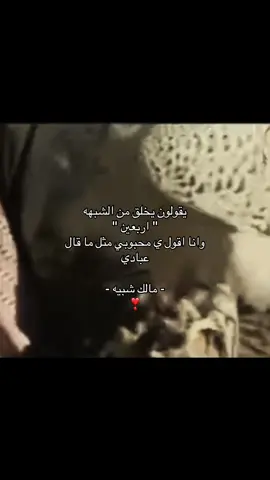 #foryoupage #B #طير #b #fypage 