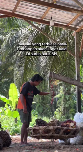 Apa lg disuruh bukain😔#sawit#fyp#riau#sawitontiktok 