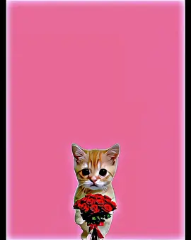Meow Meow Meow😼🤞  . . . . . . . . . . . .#foryoupage #jungkook #kimtaehyung #bts_official_bighit #creatorsearchinsights @For You @For You House ⍟ @TikTok Bangladesh @TikTok @tiktok creators @TikTok LIVE Korea @BTS @AbjkMRstY @hobipower 