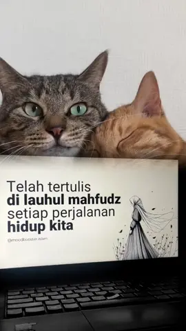 #CapCut #catlover #abahkoeradio #radiotiktok #fyppppppppppppppppppppp 