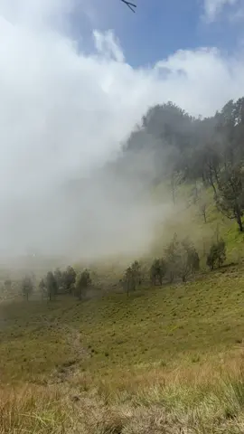 Menjaring matahari || ebiet g ade “ menembus kabut “ #lagu #lagulama #vibeskabut #galaustory #lerenggunung #xybca #sahabatalam71 #pendakigunung #semeru #ranukumbolo  
